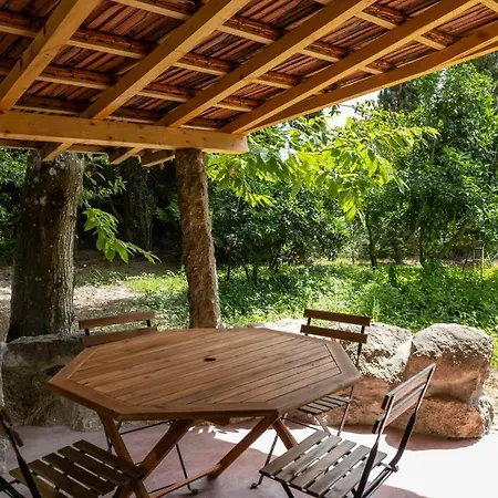 Casas Do Capitao - Paiva Valley - Pool And Nature * Castelo de Paiva
