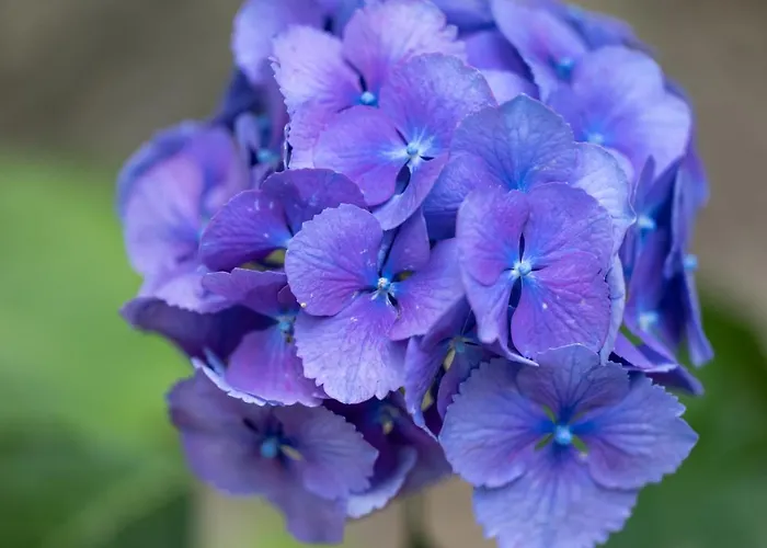 Casas Do Capitao - Paiva Valley - Pool And Nature Villa