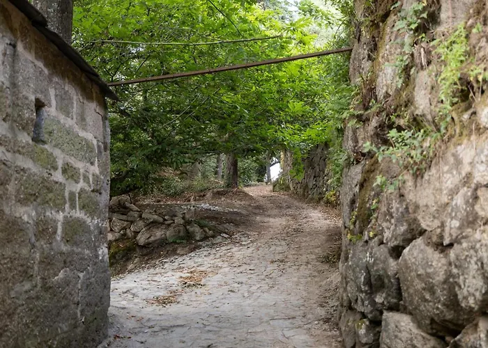 Casas Do Capitão - Paiva Valley - Pool&nature Villa *